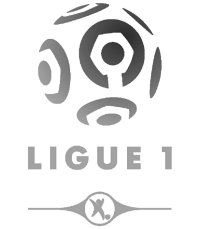 Ligue 1 2014/2015