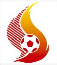 Suruga Bank Cup 2014